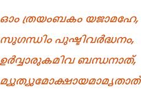 മഹാമൃത്യുഞ്‌ജയ മന്ത്രം ഇങ്ങനെ ചൊല്ലിയാല്‍....