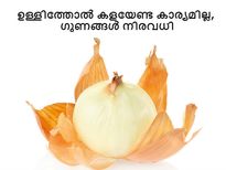 ഉള്ളിത്തോല്‍ കളയേണ്ട കാര്യമില്ല, ഗുണങ്ങള്‍ നിരവധി