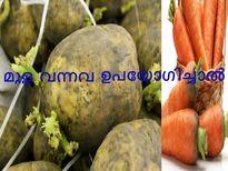 ഉരുളക്കിഴങ്ങു മുളച്ചാല്‍ വിഷം, ക്യാരറ്റോ??