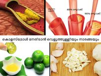 കൊളസ്‌ട്രോളിനെ മറികടക്കാന്‍ ഇനി വേറൊന്നില്ല