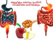 ആപ്പിളും തേനും ചേര്‍ന്ന് വിഷത്തെ ഓടിയ്ക്കും