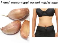 3 അല്ലി വെളുത്തുള്ളി കൊണ്ട് ഒതുങ്ങിയ വയര്‍