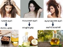  മുടിയ്ക്കനുസരിച്ച എണ്ണ, മുടി  വളരും നിസ്സംശയം