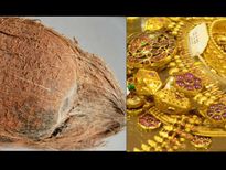 ഇവയെല്ലാം വീട്ടില്‍ ദാരിദ്ര്യം കൊണ്ടുവരും