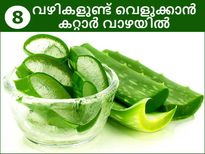വെളുക്കാന്‍ മടിയില്ലാതെ തേക്കാം കറ്റാര്‍ വാഴ