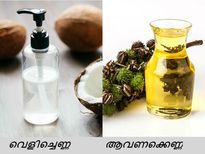 വെളിച്ചെണ്ണ ആവണക്കെണ്ണ;  വേരോടെ മുടി കറുക്കും