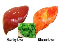കരളിന്റെ കേടു മാറ്റി പുത്തനാക്കും വൈദ്യം