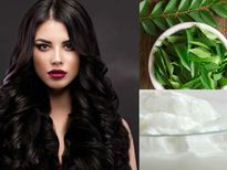 തൈരും വേപ്പിലയും, തഴച്ചു വളരും മുടി