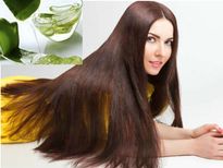 കറ്റാര്‍ വാഴ ഇങ്ങനെ, ഒറ്റമുടി കൊഴിയില്ല