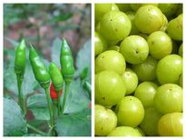 കൊളസ്‌ട്രോള്‍ വേരോടെ മാറ്റും ഒറ്റമൂലി