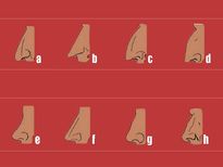 മൂക്കിന്റെ ഷേപ്പ് ഇങ്ങനെയെങ്കില്‍ ഭാഗ്യം തുണക്കും
