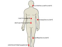 തടിയൊതുക്കി വയറ് കുറക്കാന്‍ ഈ ഭാഗത്ത് അമര്‍ത്താം