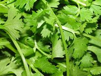 മല്ലിയിലയും ഇഞ്ചിയും ചേര്‍ത്തു കഴിയ്ക്കൂ,1മാസം