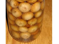 ഹോട്ടലില്‍ ഉപ്പിലിട്ട ഉളളി തരുന്നതിന്റെ രഹസ്യം