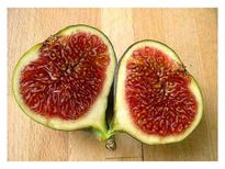  അത്തിപ്പഴത്തിന്റെ ഈ ആരോഗ്യ ഗുണം അറിയാതെ പോവരുത്‌