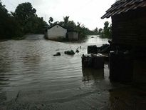 ജലം ശുദ്ധീകരിച്ച് ഉപയോഗിക്കാനായി ചെയ്യേണ്ട കാര്യങ്ങൾ