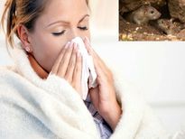 മരണവാഹകനായി എലിപ്പനി പടരുന്നു, മുന്‍കരുതലുകള്‍