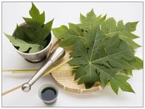 2 സ്പൂണ്‍ പപ്പായയില ജ്യൂസ് വെറുംവയറ്റില്‍,