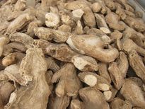  തടിയൊതുക്കി വയര്‍ ഷേപ്പാവാന്‍ ചുക്കിലെ ഒറ്റമൂലി