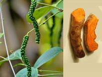 അമിതവണ്ണ പരിഹാരം; പച്ചക്കുരുമുളകും മഞ്ഞളും  ഇങ്ങനെ