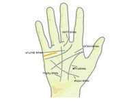 കൈയ്യിലെ ഈ രേഖകളില്‍ നിങ്ങളുടെ ആയുസ്സും ഭാവിയും