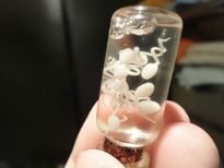 ബീജം കയ്യില്‍ കുത്തി വച്ച പുള്ളിക്കാരന്‍