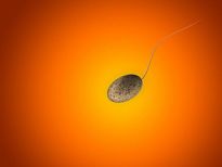 ബീജത്തിന്റെ നിറം പുരുഷന്റെ കഴിവു പറയും