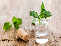 നാടന്‍ ഷാമ്പൂവിലുണ്ട് മുടിയുടെ ആരോഗ്യം