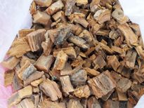 നാൽപ്പാമരത്തില്‍ രോഗകാരണത്തെ വേരോടെകളയും ഒറ്റമൂലി