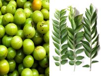 പ്രമേഹത്തിന് നെല്ലിക്കയില്‍ ഒറ്റമൂലി