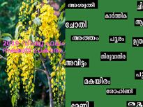 2019ലെ വിഷുഫലം നാള്‍ പ്രകാരം എങ്ങനെയെന്നറിയൂ
