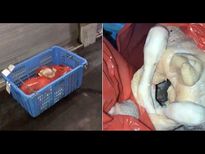 ഹോട്ടല്‍ ഭക്ഷണം ഇനിശ്രദ്ധിക്കൂ, വീഡിയോ കാണാം