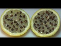 കൊതുകും പാറ്റയും പല്ലിയും ഇനിയില്ല നാരങ്ങ ഇങ്ങനെ