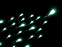 ബീജത്തിലെ രഹസ്യം പുരുഷനുമറിയില്ല