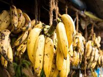 റോക്കിംഗ് സെക്‌സിന് ഈ പച്ചക്കറിയും പഴങ്ങളും