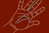 കയ്യിലെ ഈ അടയാളങ്ങള്‍ ഭാവി രഹസ്യങ്ങള്‍