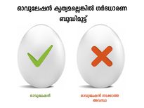 ആർത്തവം കൃത്യം പക്ഷേ ഓവുലേഷനില്ലെങ്കിൽ ഗർഭവുമില്ല