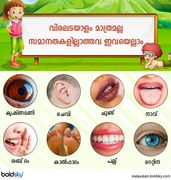 വിരലടയാളം പോലെ സവിശേഷതകൾ ഈ അവയവങ്ങൾക്കും