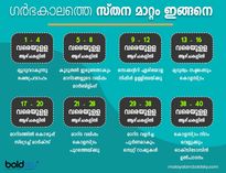 ഗര്‍ഭ സമയത്തുണ്ടാകുന്ന സ്തന മാറ്റം