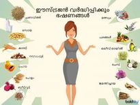 പെൺ ശരീരത്തിൽ ഈസ്ട്രജന്‍ അളവ് നിസ്സാരമല്ല; കാരണം