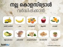 നല്ല കൊളസ്ട്രോളിന് ഈ ഭക്ഷണങ്ങൾ‌ നിർബന്ധം