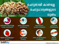 ചെറുതായി കാണല്ലേ ചെറുധാന്യങ്ങളുടെ ഗുണം