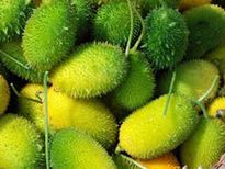  എരുമപ്പാവലിൽ മാറ്റാൻ പറ്റാത്ത പ്രമേഹമില്ല ഉറപ്പ്