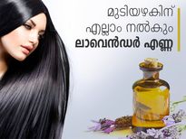 മുടിയഴകിന് എല്ലാം നല്‍കും ലാവെന്‍ഡര്‍ എണ്ണ