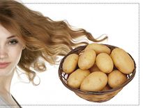 മുടിയഴകിന് ഉത്തമ കൂട്ടാളി ഉരുളക്കിഴങ്ങ്