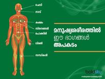 മനുഷ്യശരീരത്തിൽ അപകടം ഒളിച്ചിരിക്കുന്നത് ഇവിടെയാണ്