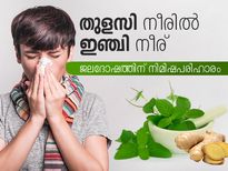 തുളസി നീരിൽ ഇഞ്ചി നീര്; ജലദോഷത്തിന് നിമിഷപരിഹാരം