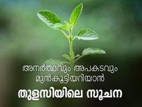 അനര്‍ത്ഥവും അപകടവുമറിയാൻ തുളസിയില നൽകും സൂചന