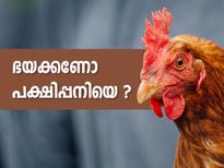 ഭയക്കണോ പക്ഷിപ്പനിയെ? ഈ കാര്യങ്ങള്‍ ശ്രദ്ധിക്കാം