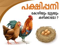 പക്ഷിപ്പനിക്കിടെ കോഴിയും മുട്ടയും കഴിക്കാമോ?